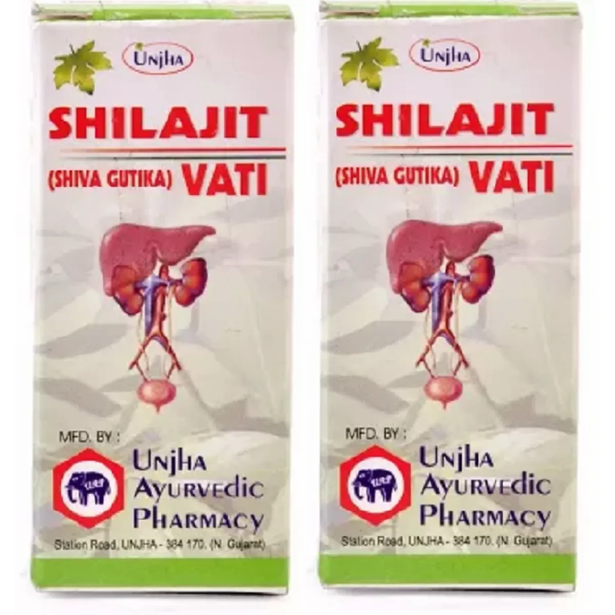 Unjha Shilajeet Vati 200tab, Pack of 2