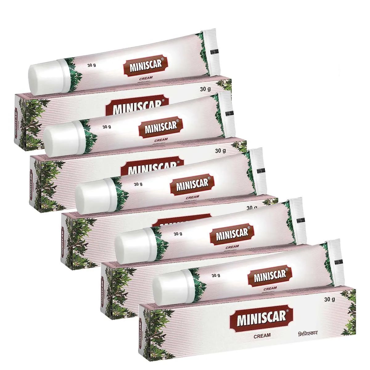 Charak Miniscar Cream 30g, Pack of 5