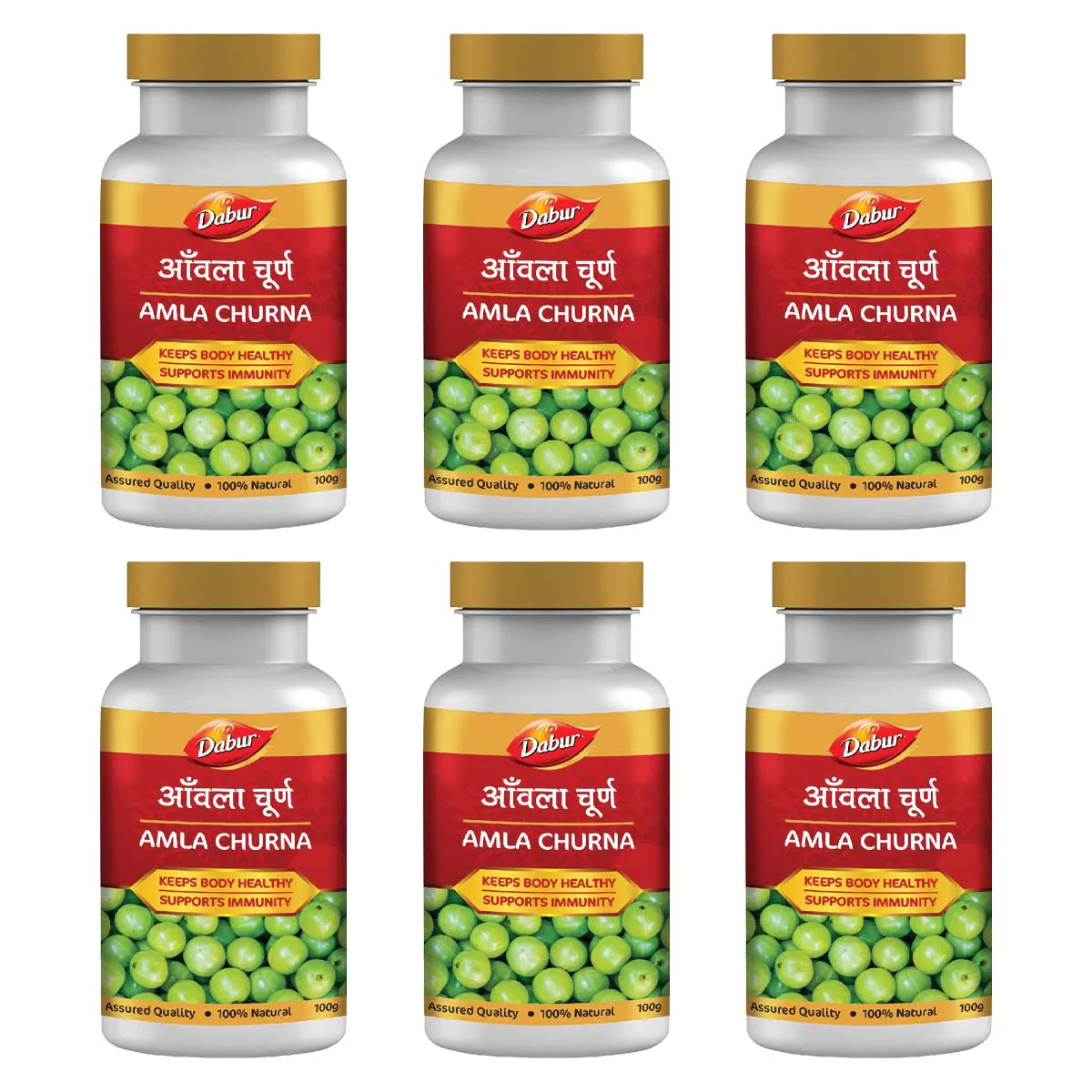 Dabur Amla Churna 100g, Pack of 6
