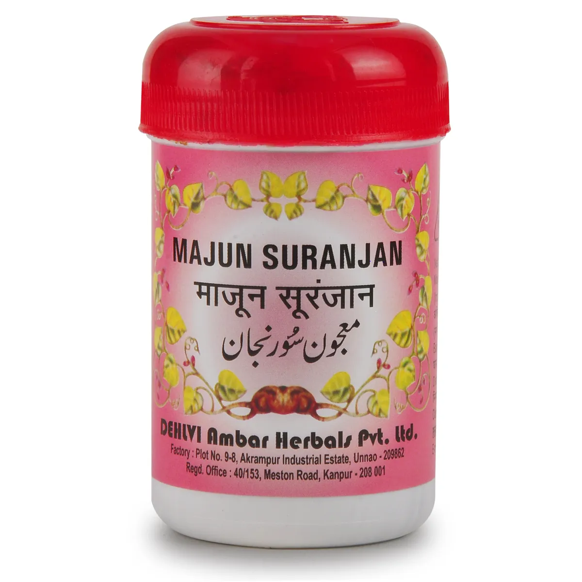 Dehlvi Majun Suranjan 250g