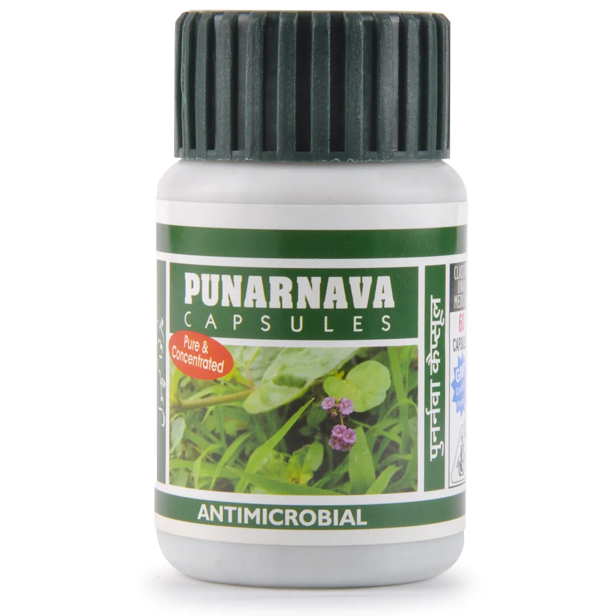 Dehlvi Punarnava Capsules 60caps